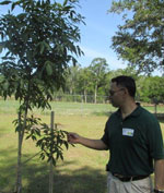 Roney Gutierrez with tree